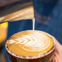 Curso Latte art